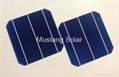 6" inch 3BB Mono Solar Cell made in Taiwan  1