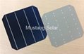 6" inch 4BB Mono Solar Cell made in Taiwan 2