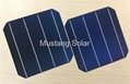 6" inch 4BB Mono Solar Cell made in Taiwan 1
