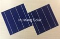 6" inch 3BB Poly Solar Cell made in Taiwan  1