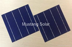 6" inch 3BB Poly Solar Cell made in Taiwan