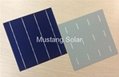 6" inch 3BB Poly Solar Cell made in Taiwan  2