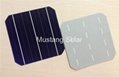 6" inch 3BB Mono Solar Cell made in Taiwan  2