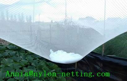 Anti-hail Net