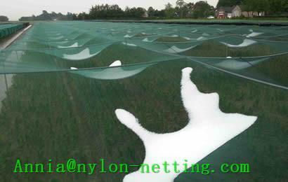 Anti-hail Net 2