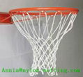 Basketball Net 3