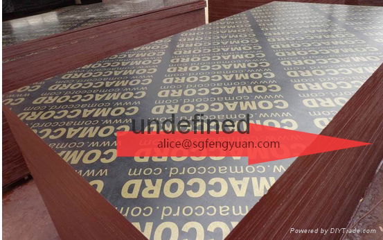 waterproof shuttering plywood