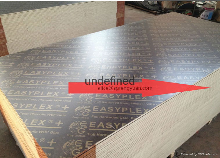 waterproof shuttering plywood 3