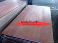 commercial plywood 1