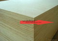 commercial plywood 2