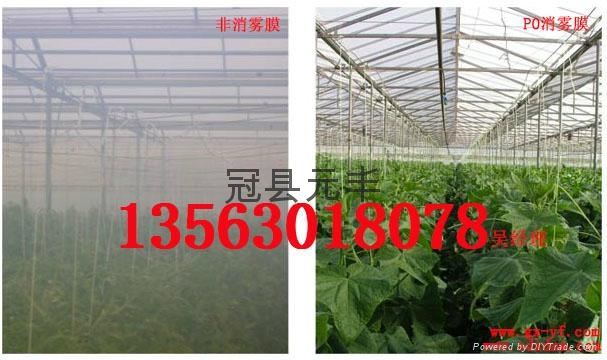 PO膜大量现货可定货 2