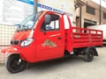 Enclosed 3 Wheel Motorcycle Cabin Tricycle 5