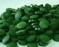 Spirulina & Chlorella Powder   1