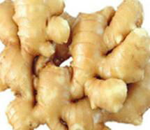 Ginger Extract  