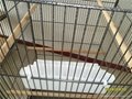 Top roof metal Bird Cage 5