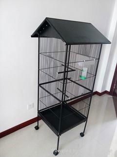 Top roof metal Bird Cage