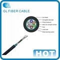 12 Core SMG652D Fiber Cable (GYXTW)