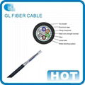 Outdoor Steel Armored Cable (GYTS)