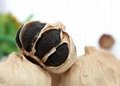 2016 New and Health Fermented Black Garlic Factory