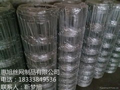 Supply all kinds of cattle bar network HuiXu manufacturer Grassland net