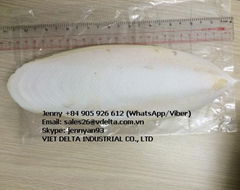 CUTTLE FISH BONE FOR ANIMALS(Ms.Jenny+84 905 926 612)