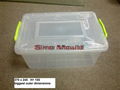 Ready Plastic Container Mold