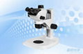 體視顯微鏡 1
