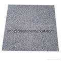 Cheap Grey Granite Tile 1