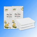 China factory private label disposable airline wet towel 