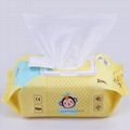 Baby flushable disinfectant antibacterial band facial cleaning 80 pcs water wipe