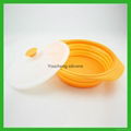 Silicone Collapsible Bowl / Travel Bowl 