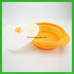 Silicone Collapsible Bowl / Travel Bowl