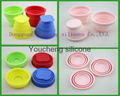 Silicone Collapsible Cup