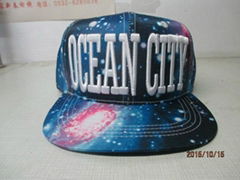 Fashion snapback cap with emboridery and