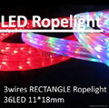 hot sale 3 wires rectangle LED rope light for household/commercial/project 1