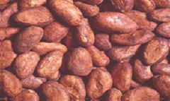 Western Africa Cocoa Bean