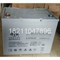 Shuangdeng battery 12 v65ah