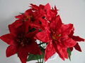 POINSETTIA BUSH X 9 2