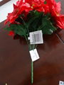 POINSETTIA BUSH X 9 4