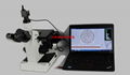 4XC 金相显微镜分析系统 2