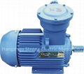 YB3 Series Three-phase Induction Motor