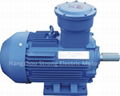 YB3 Series Three-phase Induction Motor IP55 F AC 2