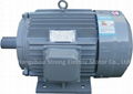 YX3/YE3 Series Three-phase Induction Motor IP54 F AC 2