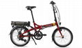 Folding Electric Bike  1