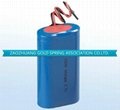 Lithium ion battery pack 1