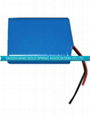 Lithium ion battery