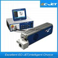 Date Code Marking Machine CO2 Laser Printer with Ipg Source