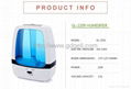 2016 new Spray Humidifier Ultrasonic GL-2205 1