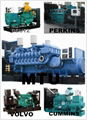 SM1100 Diesel Generator  2