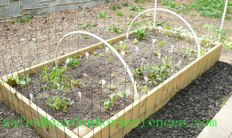 Cathedral Folding Garden Fence 2